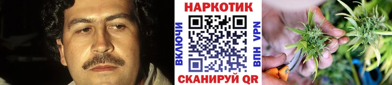 Купить закладку Альфа ПВП  Мефедрон  LSD-25  Бошки Шишки  МЕТАДОН  Кокаин  ГАШ  Нерюнгри